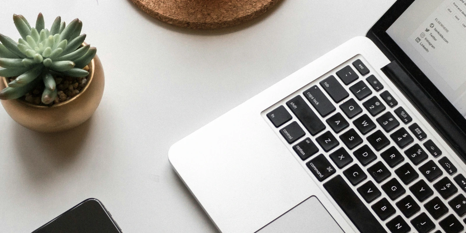 BTSA STA : Détails et Capacités Requises