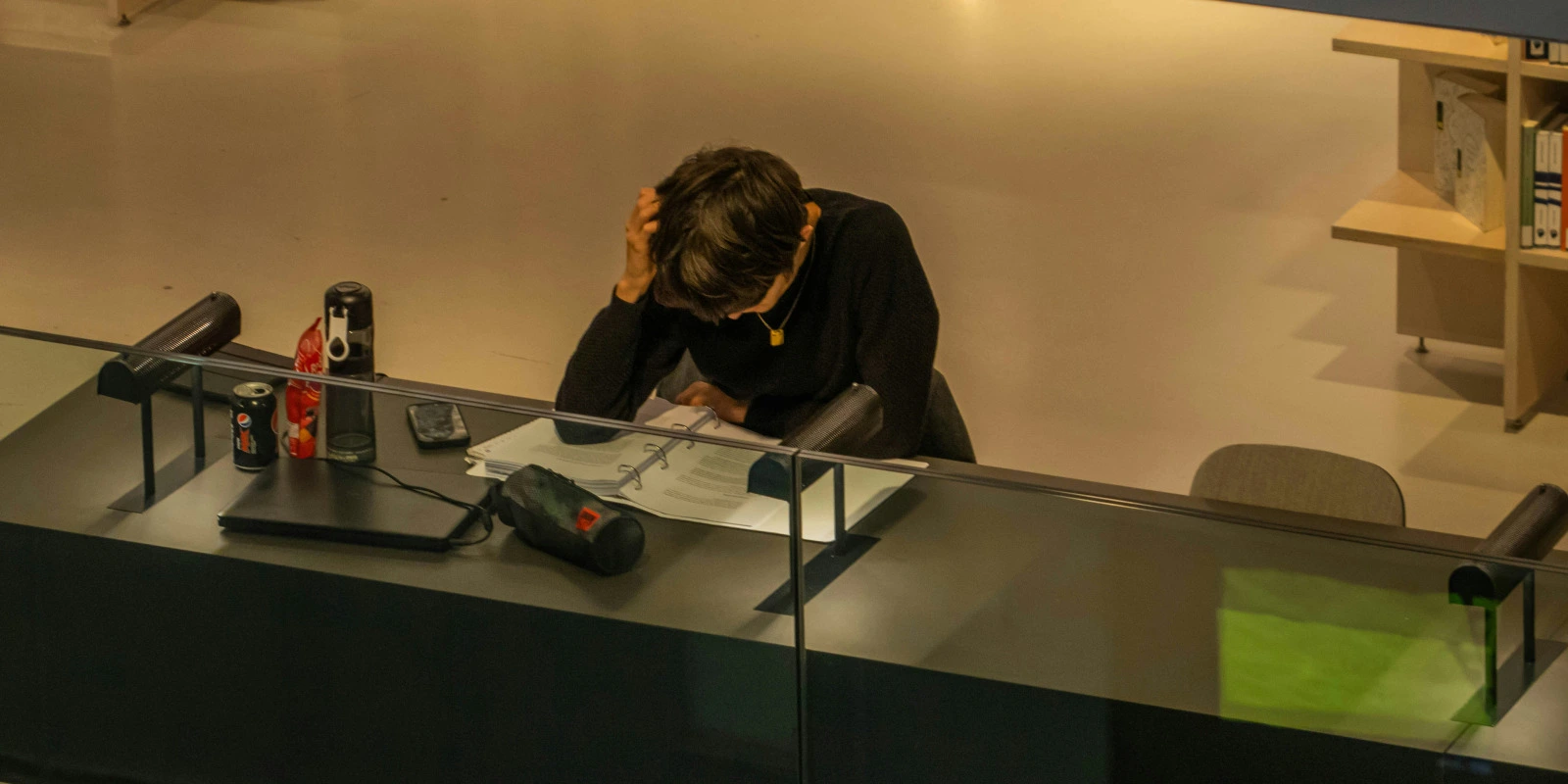 BTSA STA : Programme et Référentiel Complet