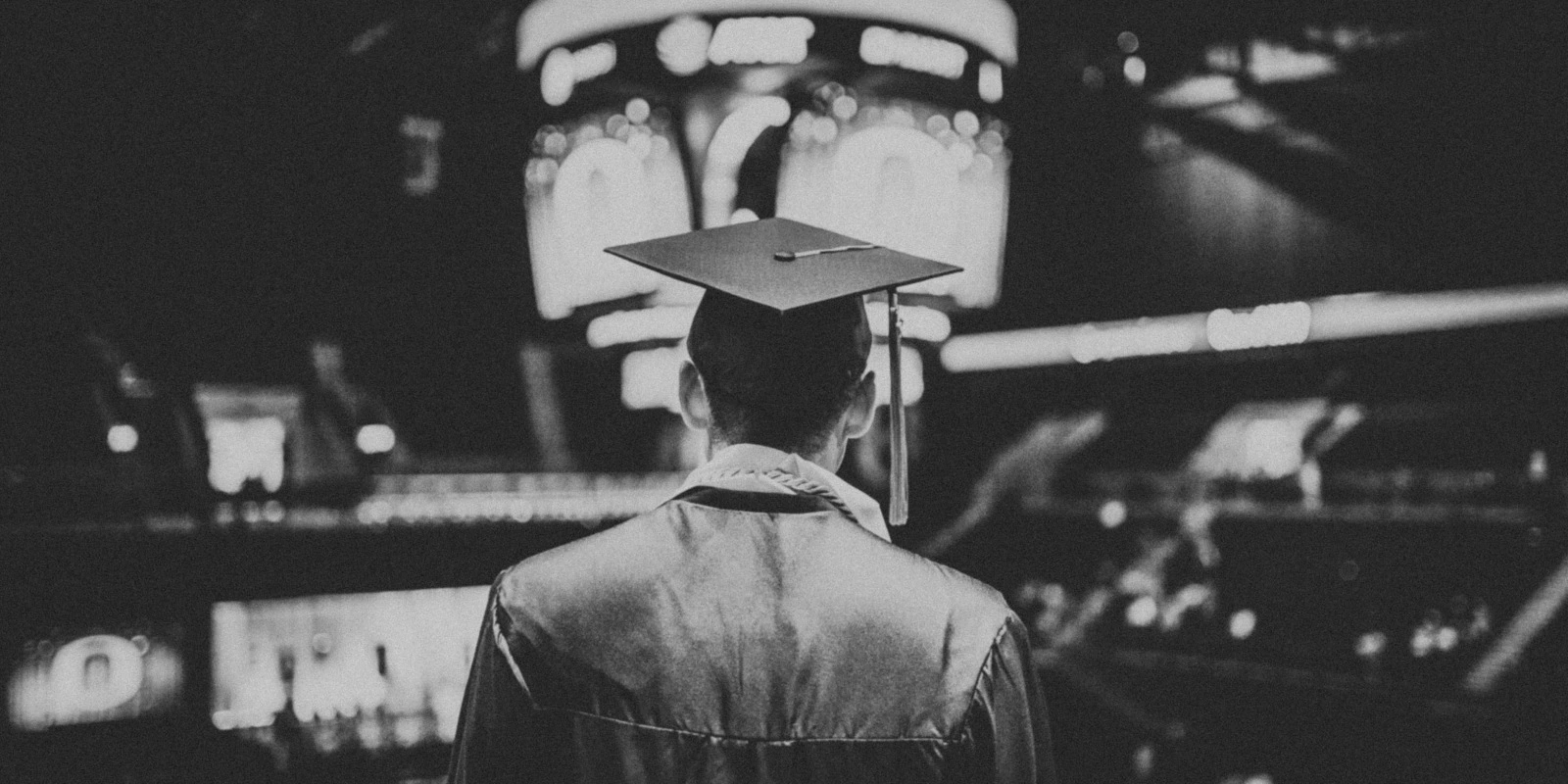 BTSA STA : Quelles Licences Après le BTS ?